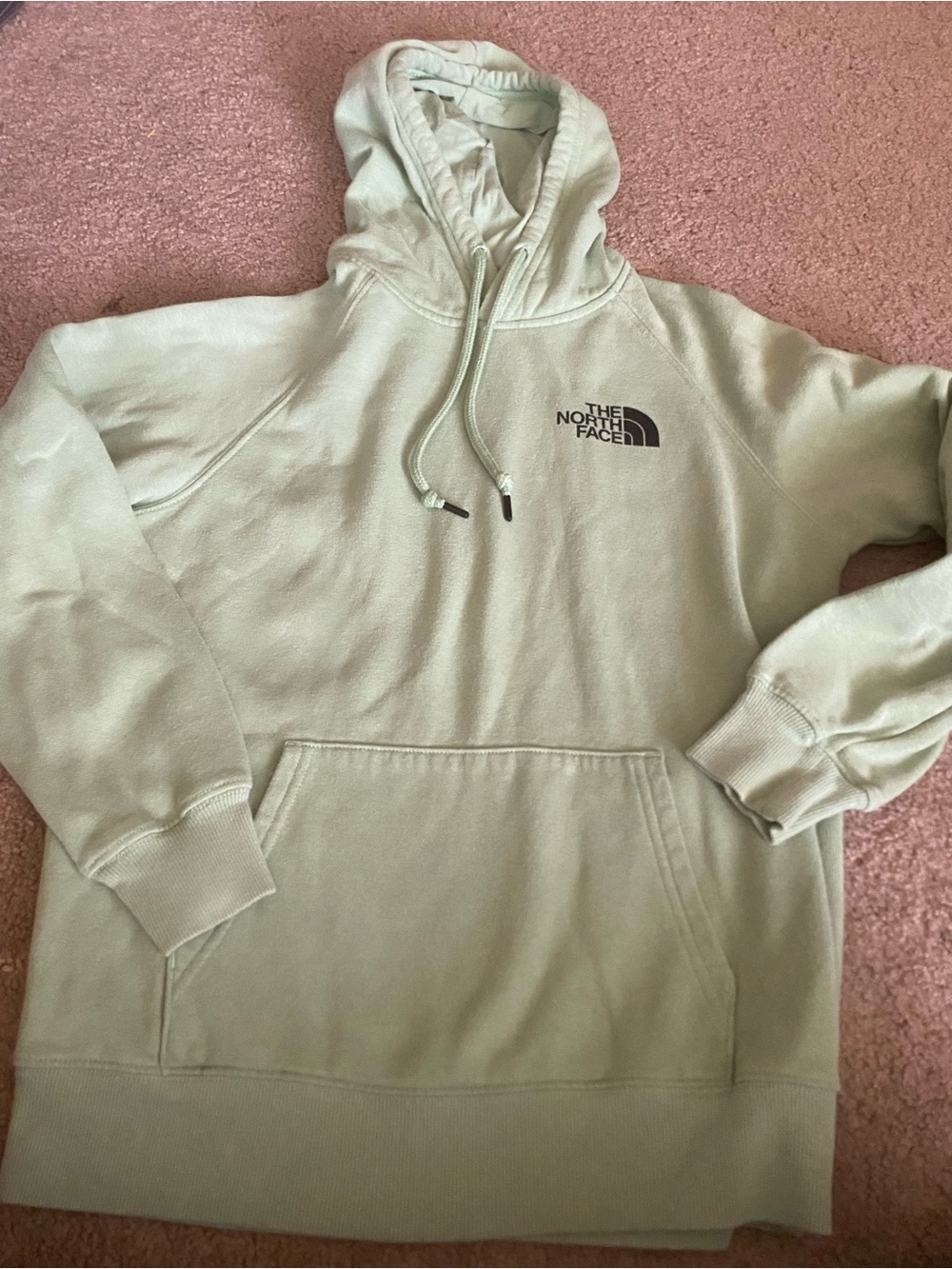 The North Face Women's S Sage Green Novelty Box NSE Graphic Hoodie FA22